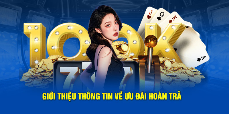 Giới thiệu thông tin về ưu đãi hoàn trả cho thành viên