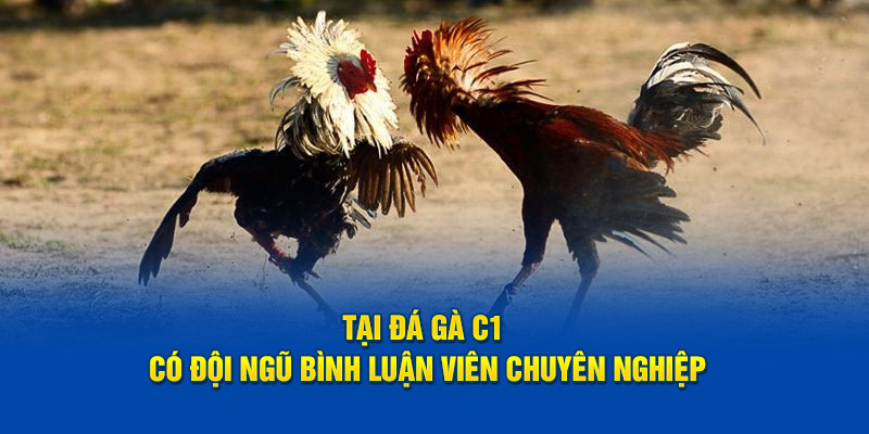 Tại đá gà c1 có đội ngũ bình luận viên chuyên nghiệp